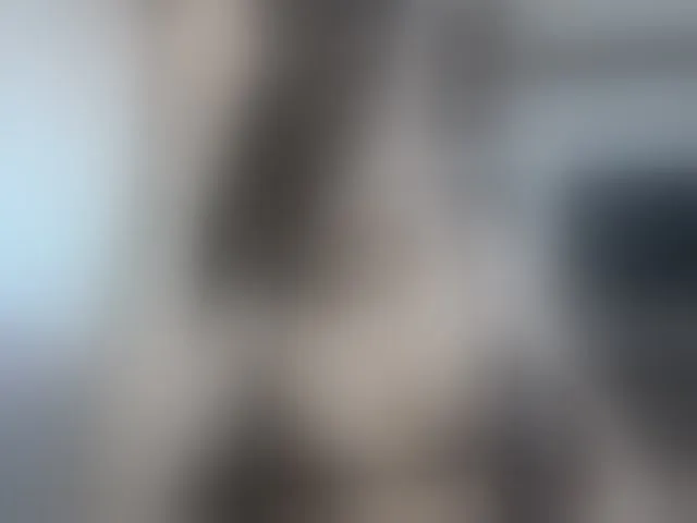 Live sex webcam photo for squir4u #272146210
