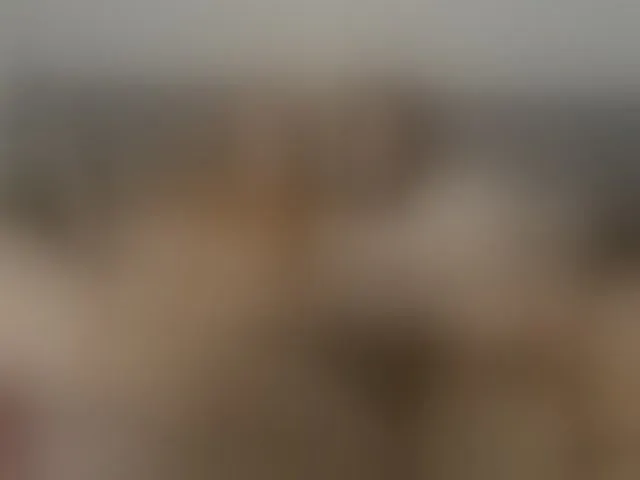 Live sex webcam photo for stassiemil #294155841