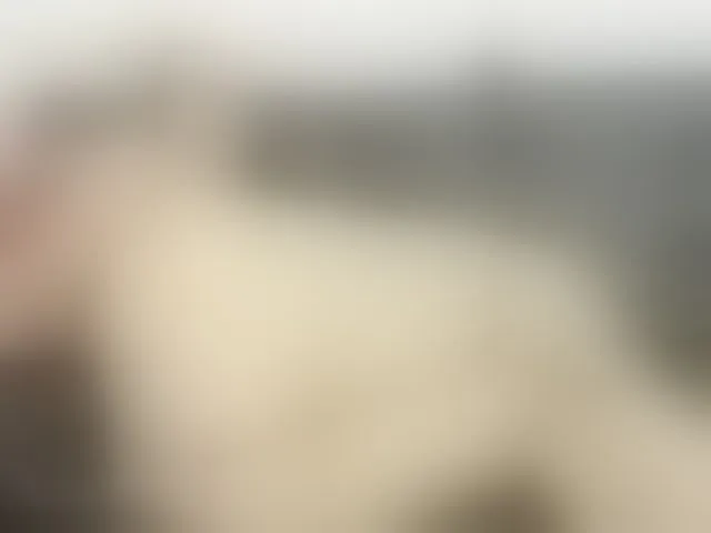 Live sex webcam photo for steacysquirts #274127886