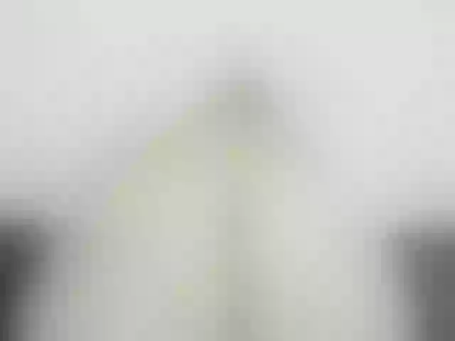 Live sex webcam photo for steacysquirts #274444103