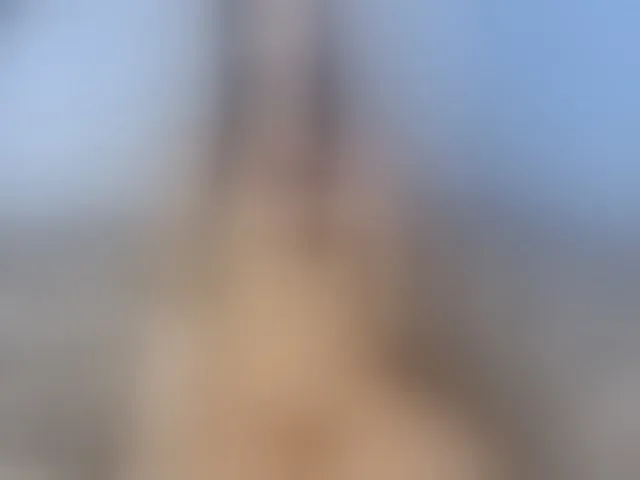 Live sex webcam photo for stephanymonro #277652273