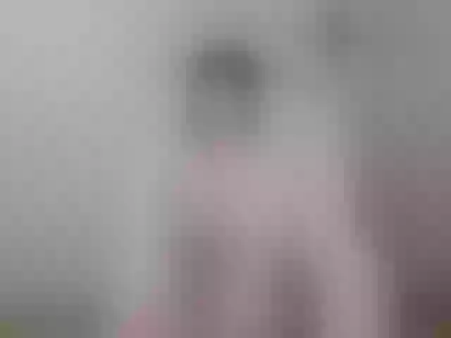 Live sex webcam photo for substitute4 #272426323