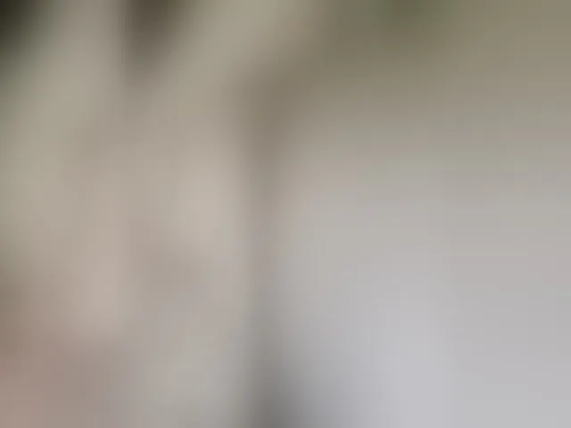 Live sex webcam photo for sugar781 #273758329