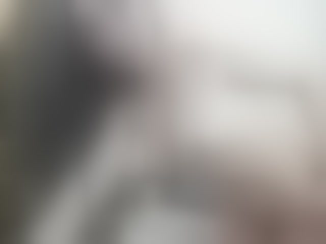 Live sex webcam photo for summerevans #290235537