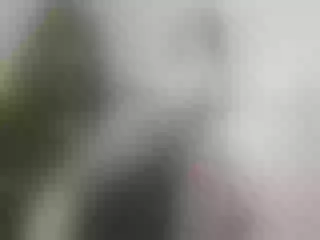 Live sex webcam photo for summerevans #290271908
