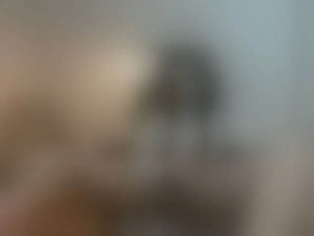 Live sex webcam photo for summerevans #290804555