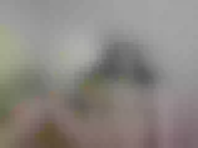 Live sex webcam photo for summerevans #292079718