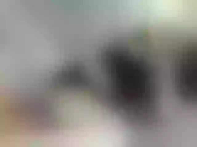 Live sex webcam photo for sundyrose #273588364