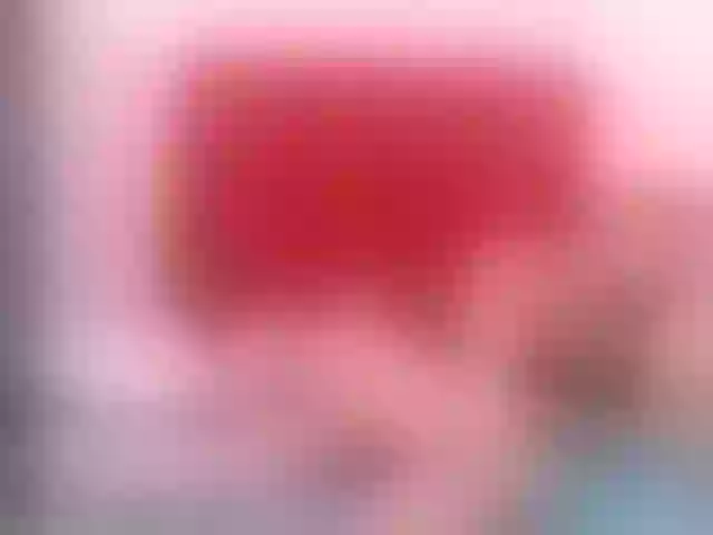 Live sex webcam photo for susytrans #275154621