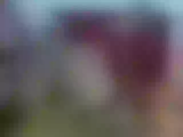 Live sex webcam photo for susytrans #275972480
