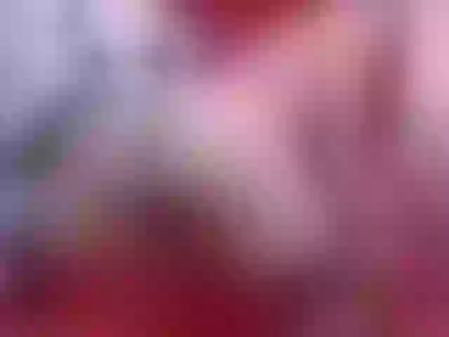 Live sex webcam photo for susytrans #276345342
