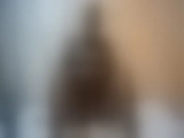 Live sex webcam photo for sweet-boobies #292729184