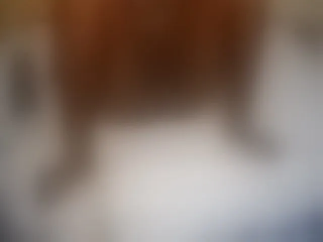 Live sex webcam photo for sweet-boobies #292935820