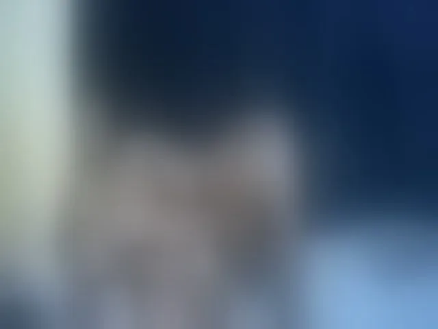 Live sex webcam photo for sweet-boobies #293195190