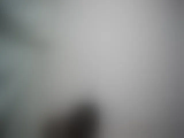 Live sex webcam photo for sweet-kitty2 #292779120