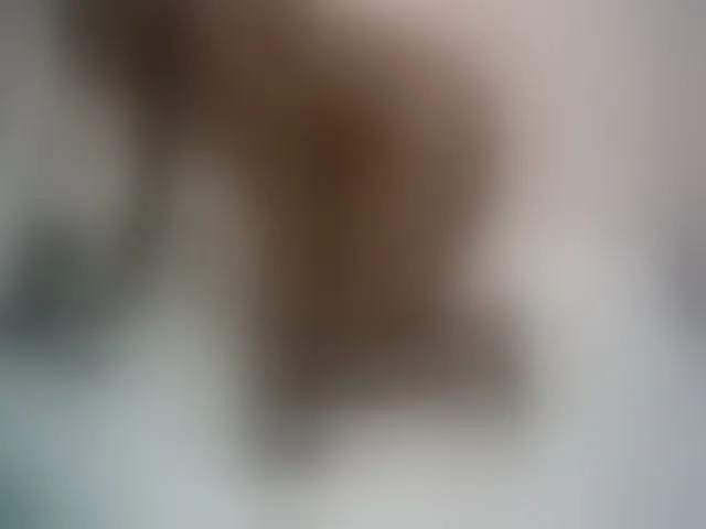 Live sex webcam photo for sweet-kitty2 #292821777
