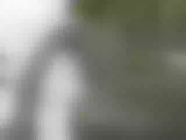 Live sex webcam photo for sweet-nana #273957193