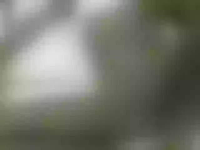 Live sex webcam photo for sweet-nana #274163389