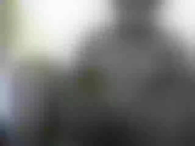 Live sex webcam photo for sweet-nanah #274447899
