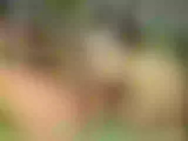 Live sex webcam photo for sweet-reveng #272322372