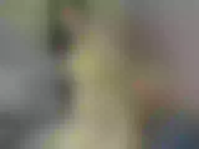 Live sex webcam photo for sweet-sophi #272590924