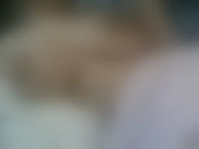 Live sex webcam photo for sweetboobskayla #276668537