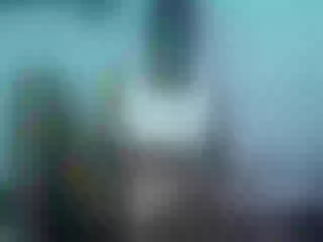 Live sex webcam photo for sweetchic #290921023