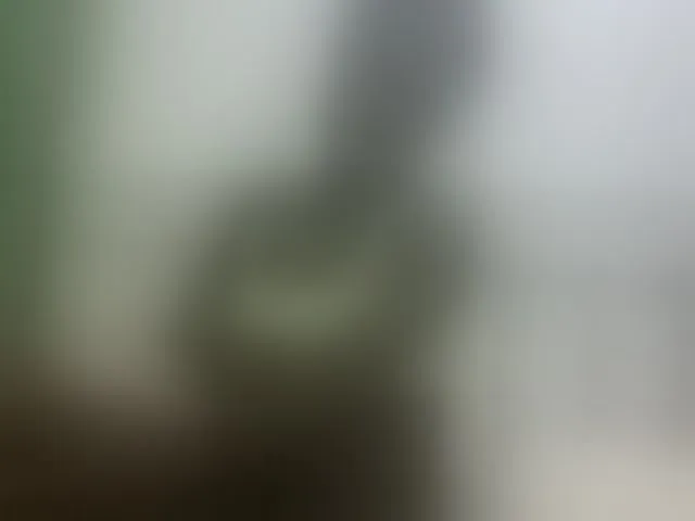Live sex webcam photo for sweetchic #292488964