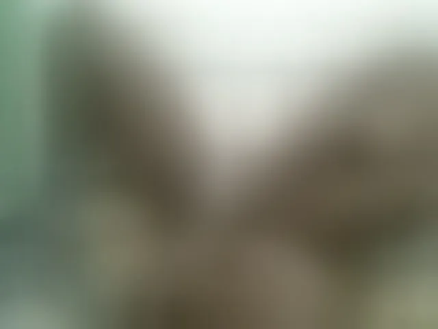 Live sex webcam photo for sweetchic #294022806