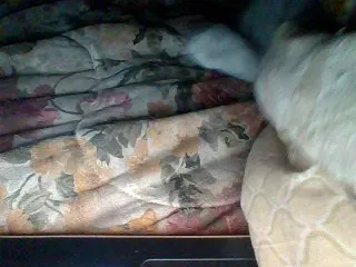 Live sex webcam photo for sweetcouple12 #135316406