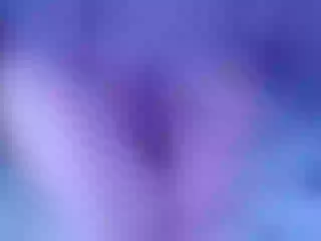 Live sex webcam photo for sweeteRose #290275771