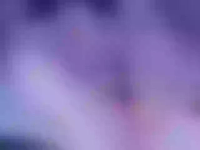 Live sex webcam photo for sweeteRose #291011218