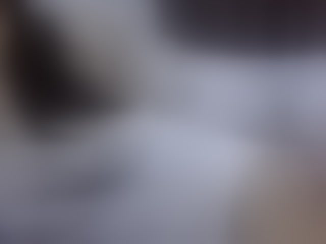 Live sex webcam photo for sweetmama17 #294161017