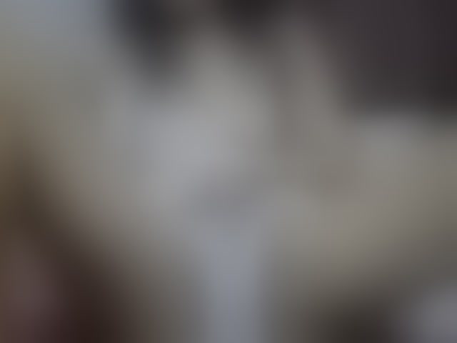 Live sex webcam photo for sweetmama17 #294222914
