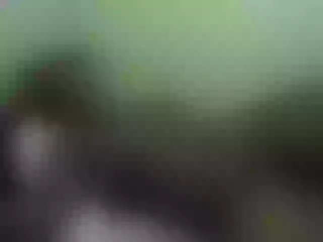 Live sex webcam photo for sweetpace #272456975