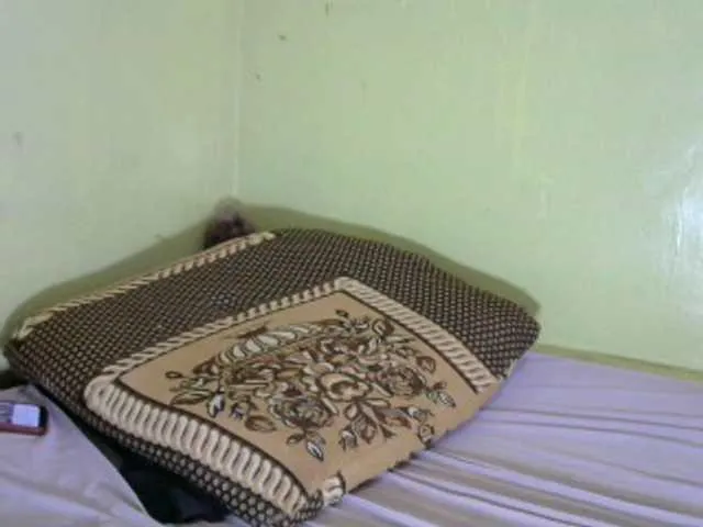 Live sex webcam photo for sweetpace #272719894