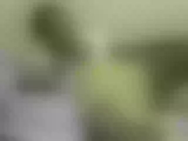 Live sex webcam photo for sweetpace #272886754