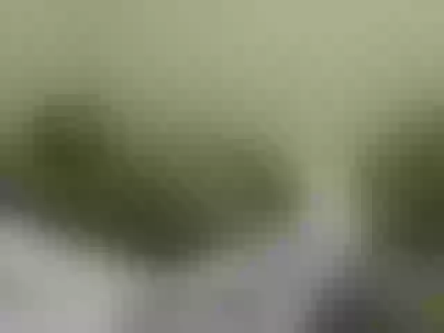 Live sex webcam photo for sweetpace #273001381