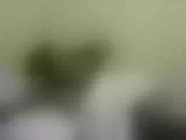 Live sex webcam photo for sweetpace #273044473