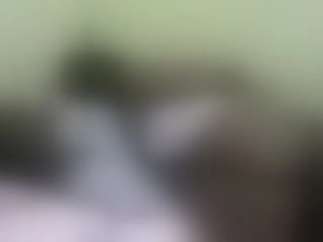 Live sex webcam photo for sweetpace #273183277