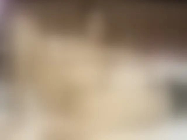 Live sex webcam photo for sweetslaveank #294266613