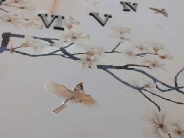 Live sex webcam photo for sweettemptationTS #289322503