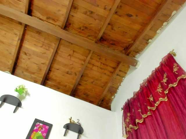 Live sex webcam photo for swtt-lilly #275876388