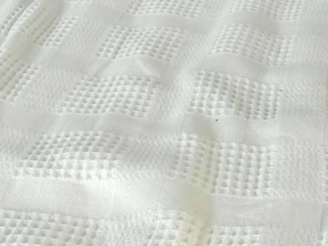 Live sex webcam photo for swtt-lilly #276061850