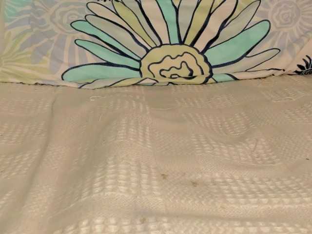 Live sex webcam photo for swtt-lilly #276944008