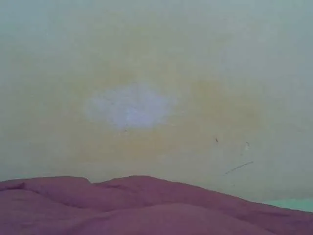 Live sex webcam photo for taliah254 #291353188