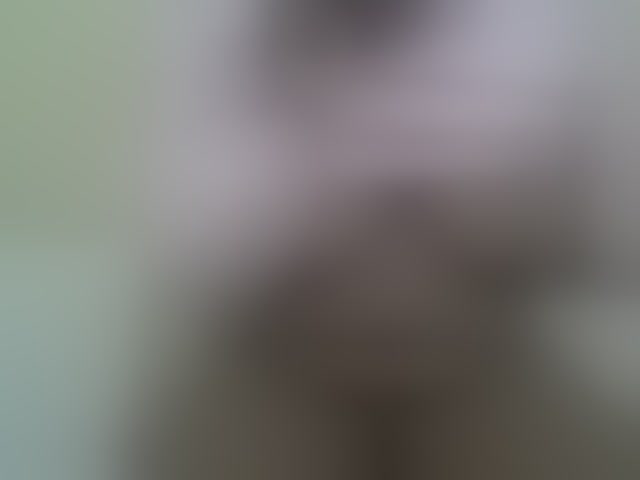 Live sex webcam photo for taliah254 #291641328
