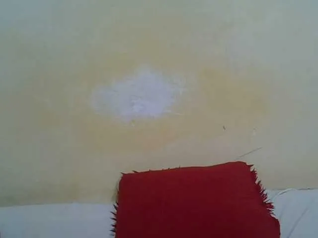 Live sex webcam photo for taliah254 #291790371
