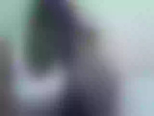 Live sex webcam photo for taliah254 #292060416