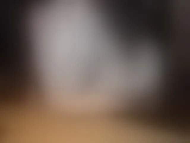 Live sex webcam photo for tanyvel34 #292785166